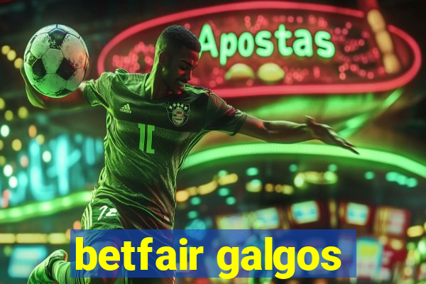 betfair galgos